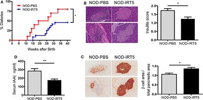 Amelioration of Autoimmune Diabetes of NOD Mice by Immunomodulating Probiotics